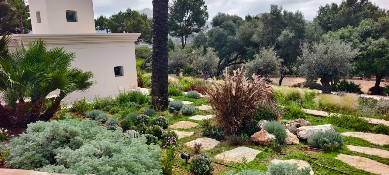 Mediterranean garden in Alcúdia with olive trees and terraces