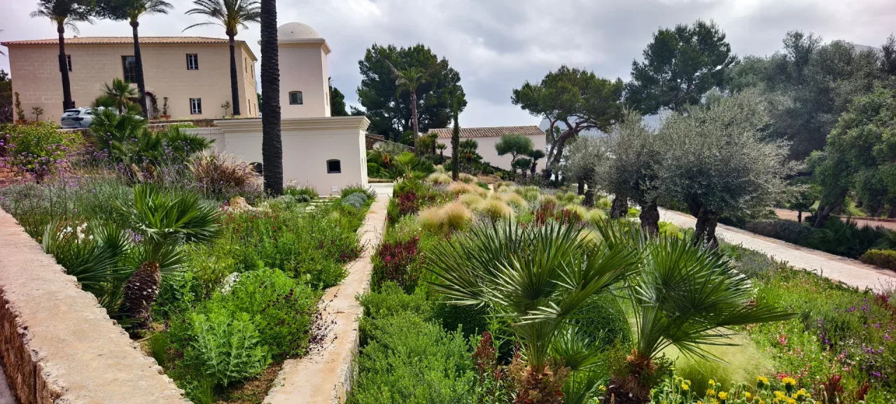 Detalle de mantenimiento de jardín en Mallorca