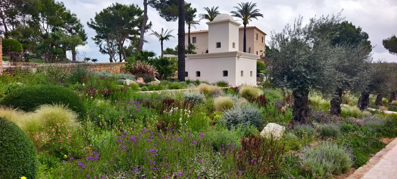 Mediterranean planting in a Mallorca garden