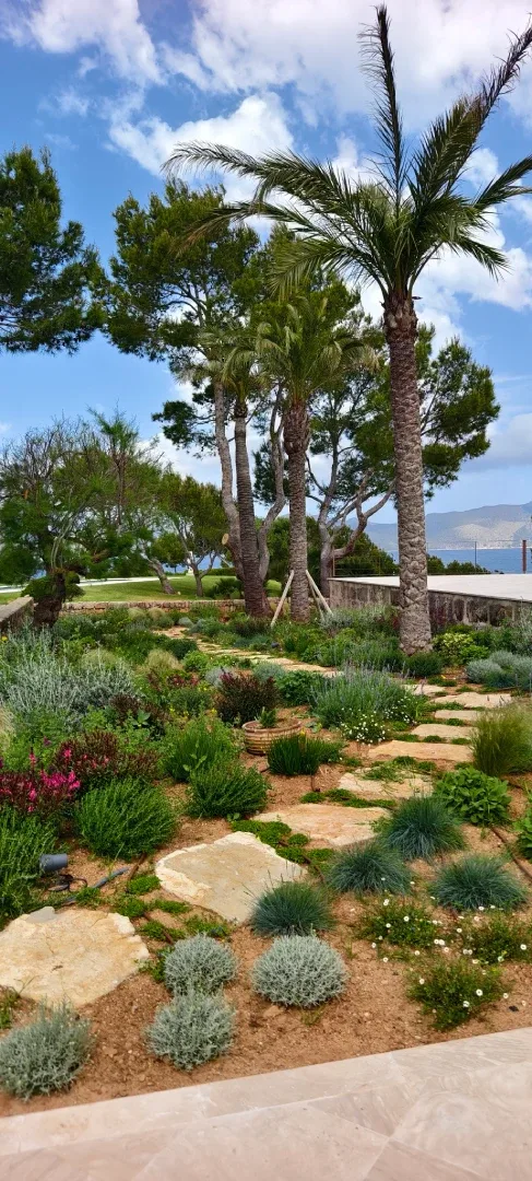 Irrigation system installed in a Mediterranean garden