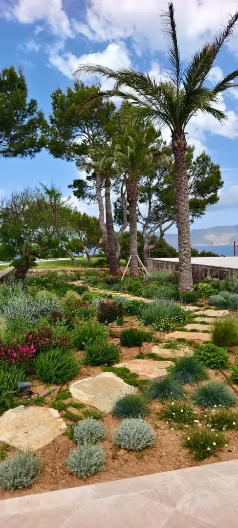Sistema de riego instalado en jardín mediterráneo