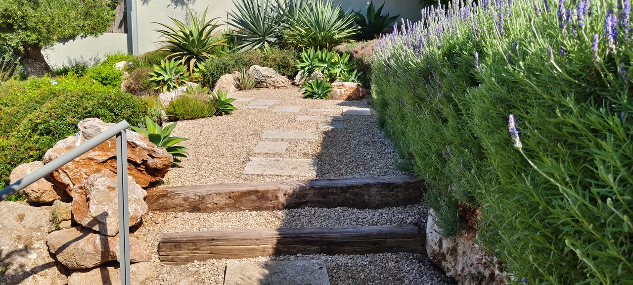 Sendero de losas entre muro de piedra y plantacion baja