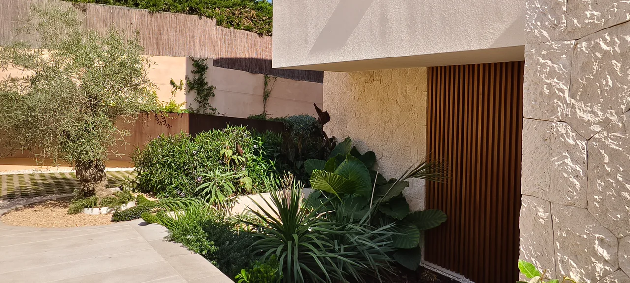 Olivo y plantas crasas frente a una fachada de piedra y madera