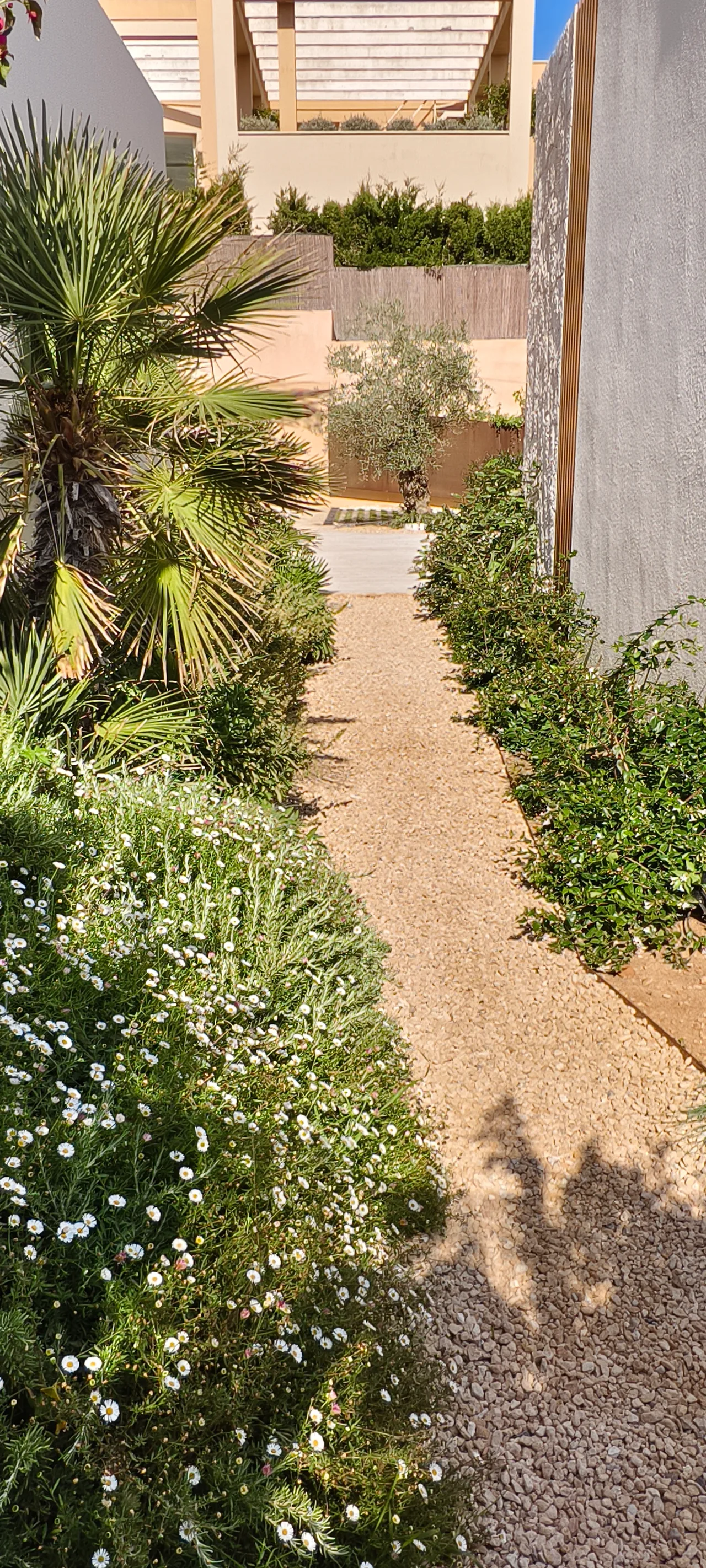 Sendero estrecho de grava entre plantacion y muro