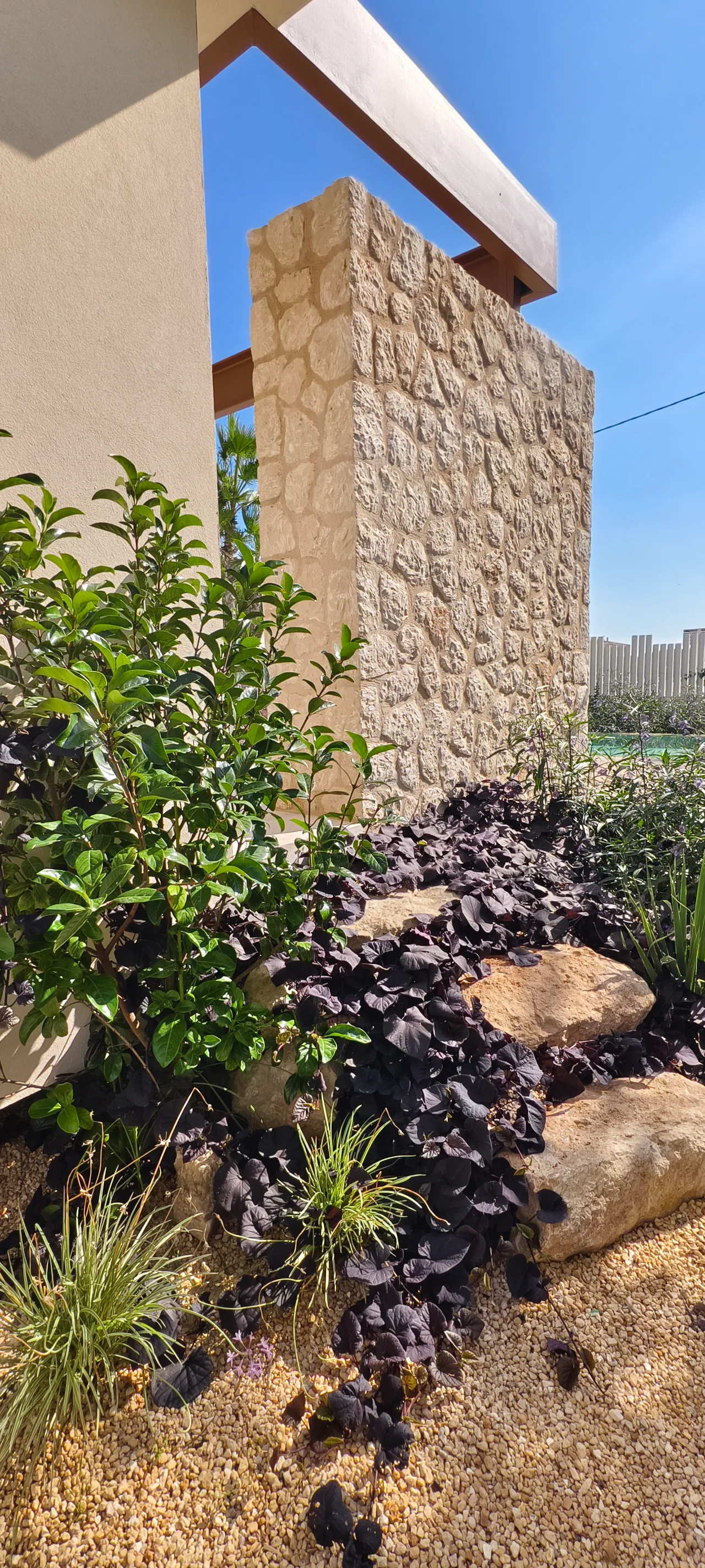 Plantacion de crasas y gramineas al pie de un muro de piedra
