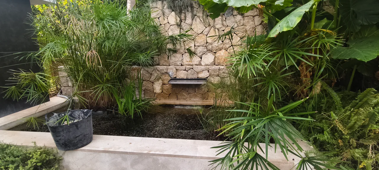 Lamina de agua sobre muro de piedra entre vegetacion subtropical